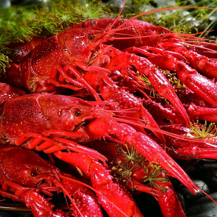 大店龙虾