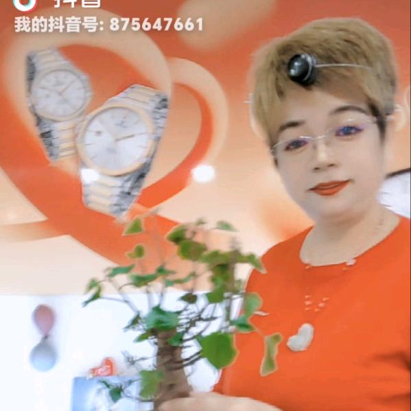 天赐西部名表名匠