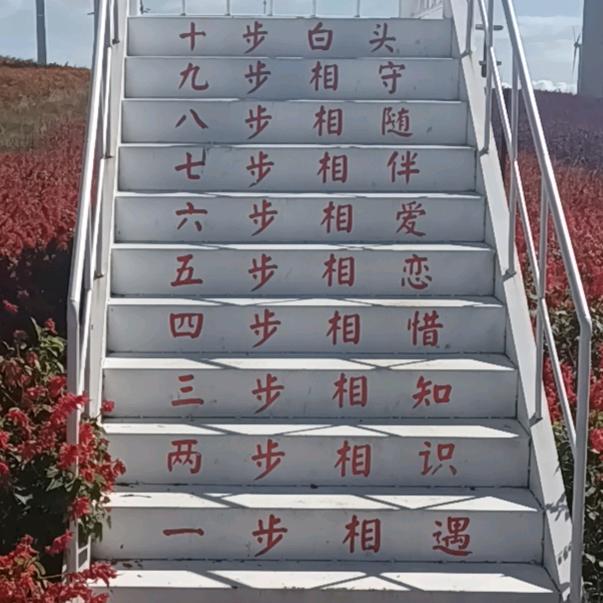 鹏朋(李坤)