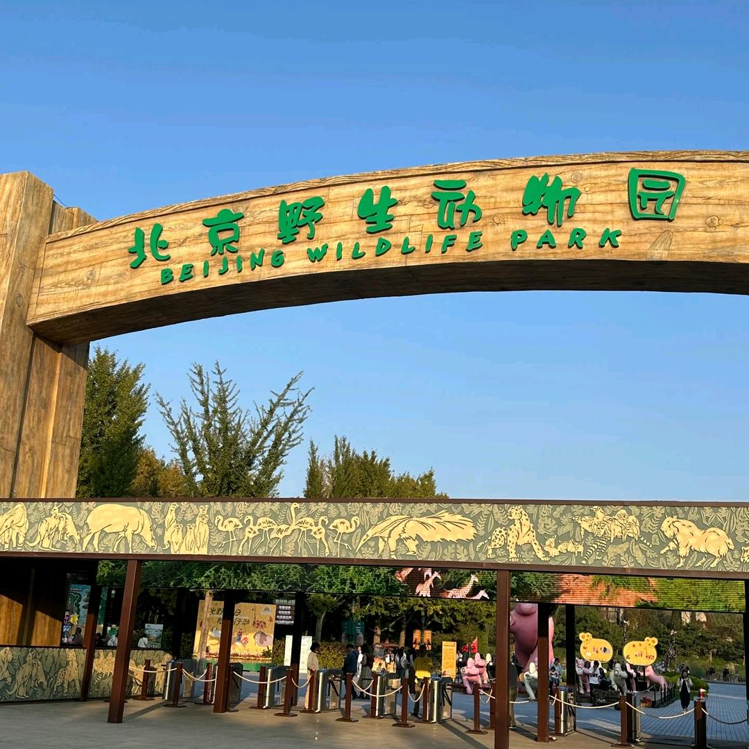 京彩灯会小客服