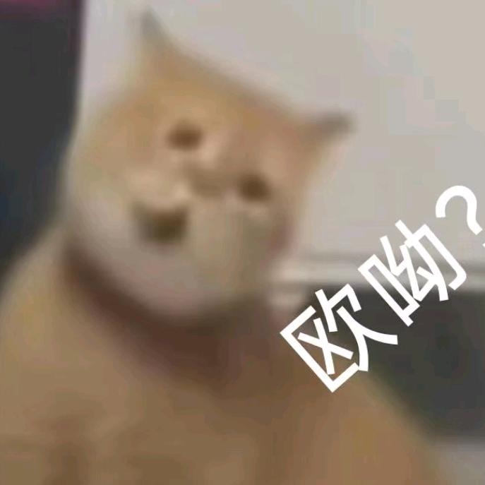 名字太难不起了