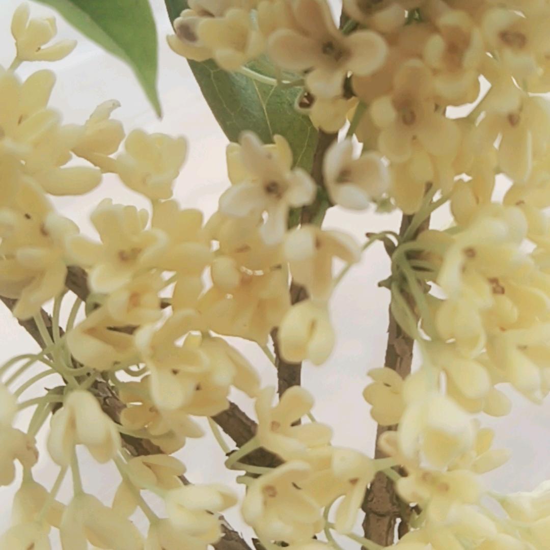 @莫忘记我是谁！