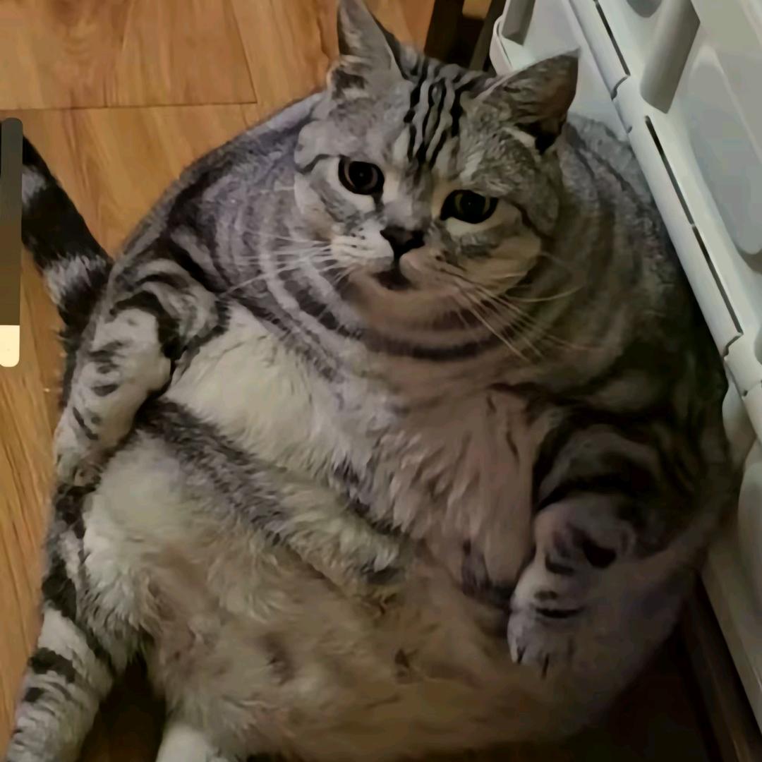 用户2166315658547
