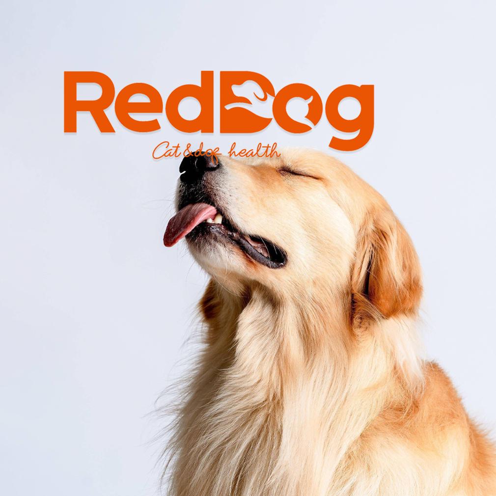 红狗直播间（小石发福利）