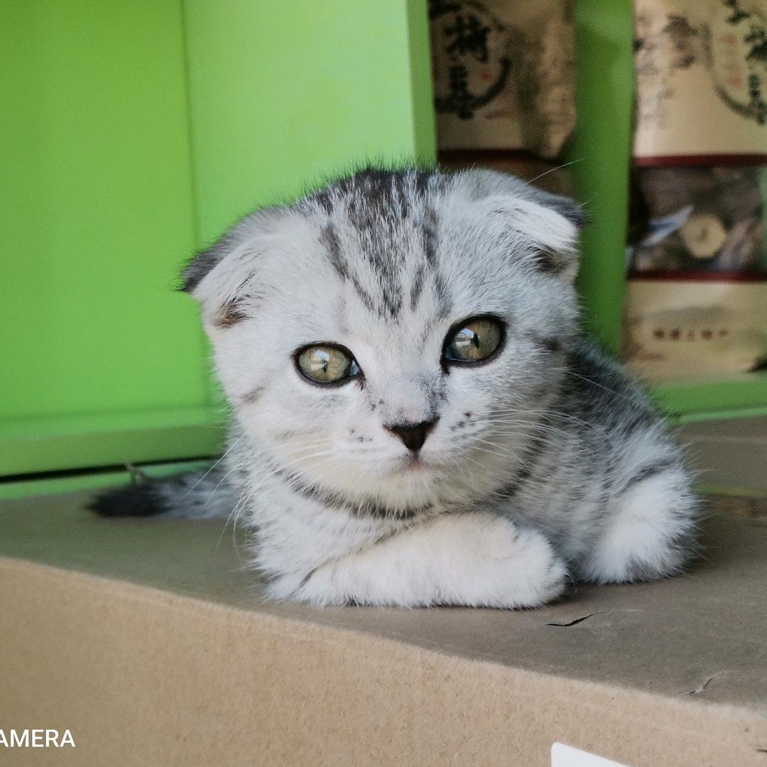 再无相思存巫山齐派大有门下有谦