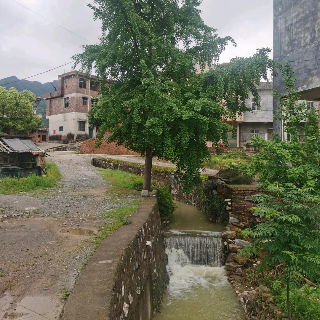 乡村管弦乐队，