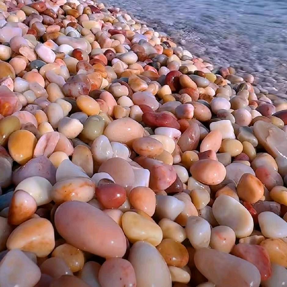 39620279691