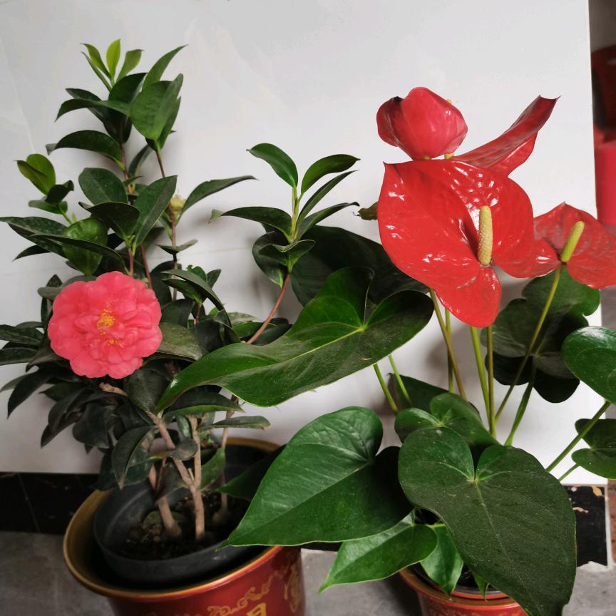 用户健康快乐9337158466132