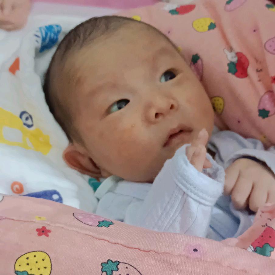 🌺傻🌸女🌸人🌺