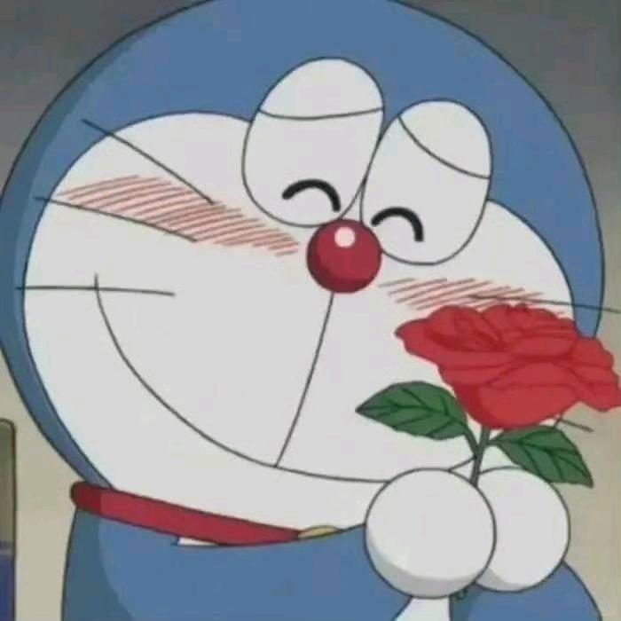 泡泡大脸猫
