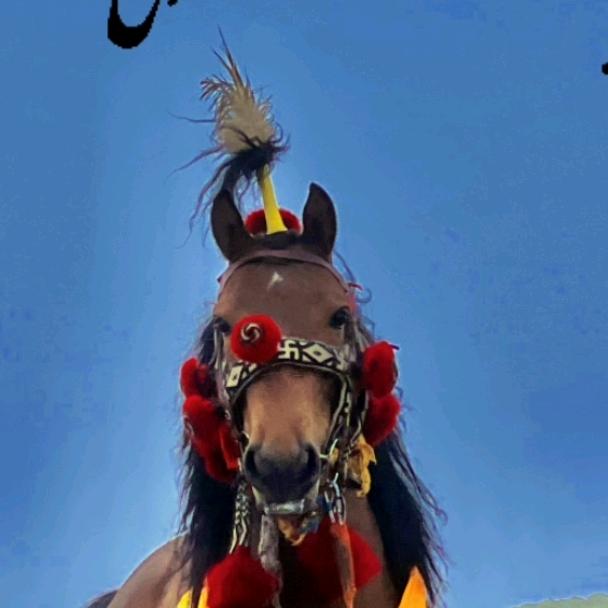 ༠ོ༨扎西旦达𓃗