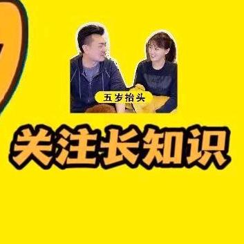 老高与小茉【五岁抬头】