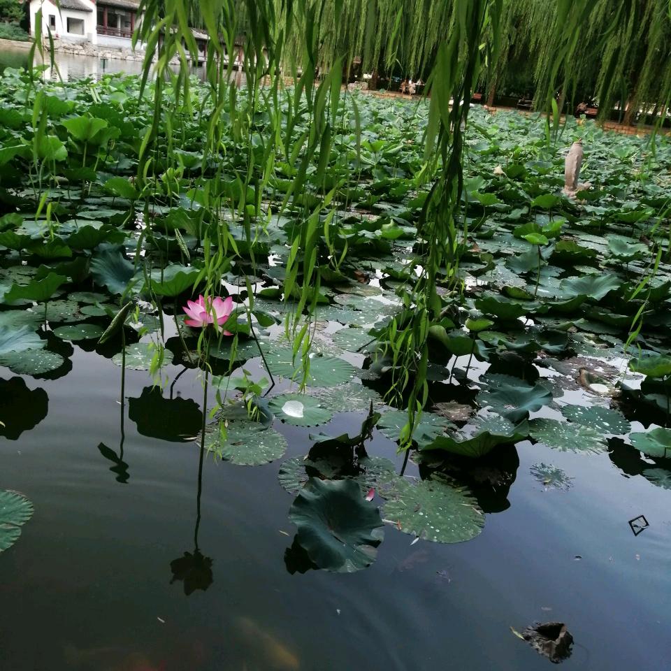 智慧光芒