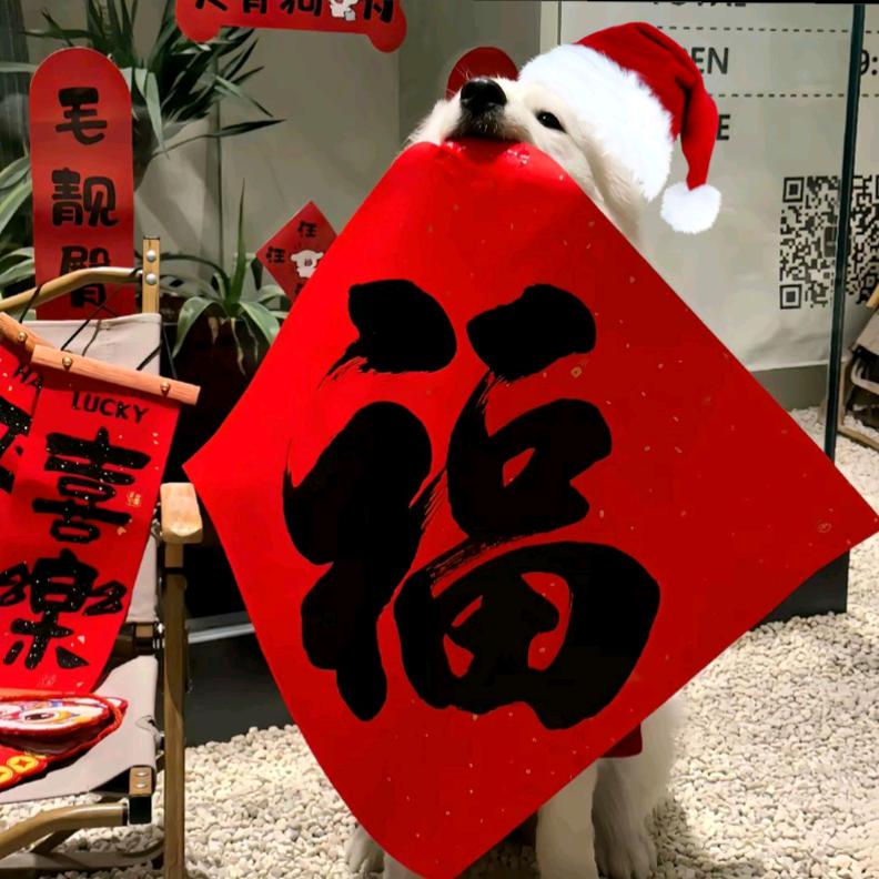 @狂炫砂糖橘100筐