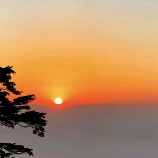涅槃重生万古寿