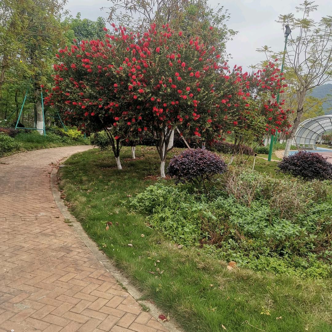 👫风景👉