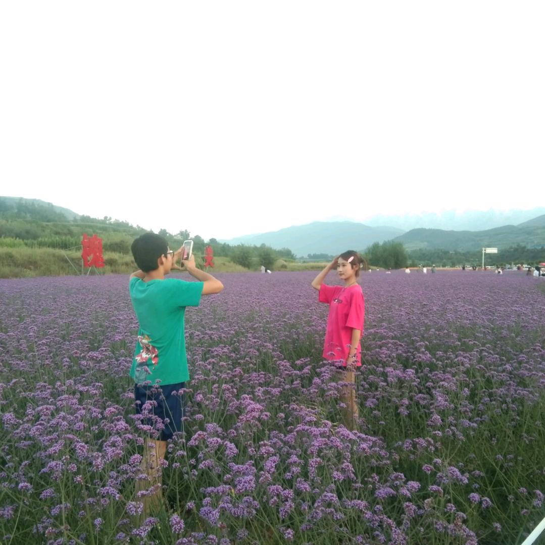 临夏市四通驾校教练，