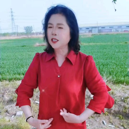李文红