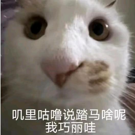 二两面加鸡蛋
