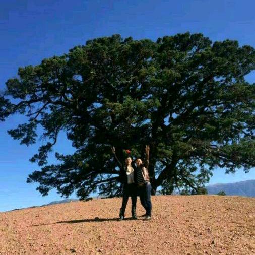 、春风吹皱了露水