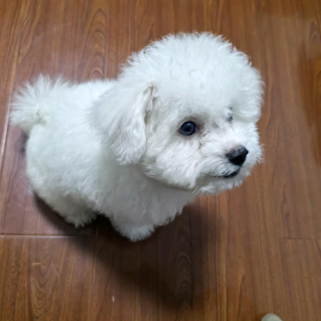 小阳爱摄影