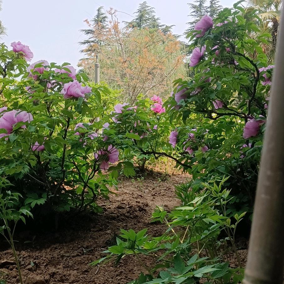 回忆过去，努力向前。