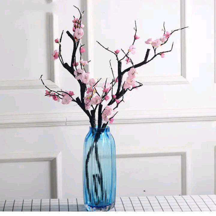 迎接明天的阳光