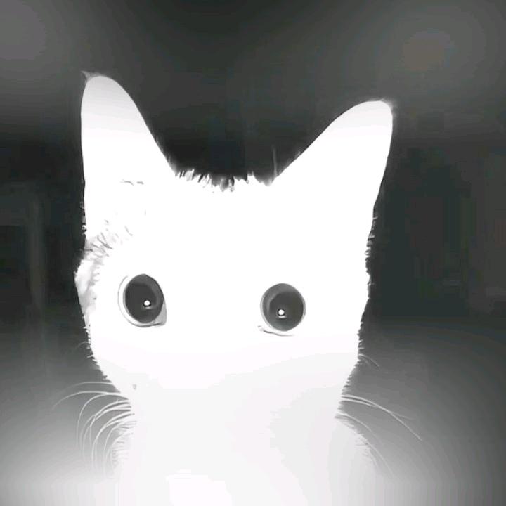 请输入昵称