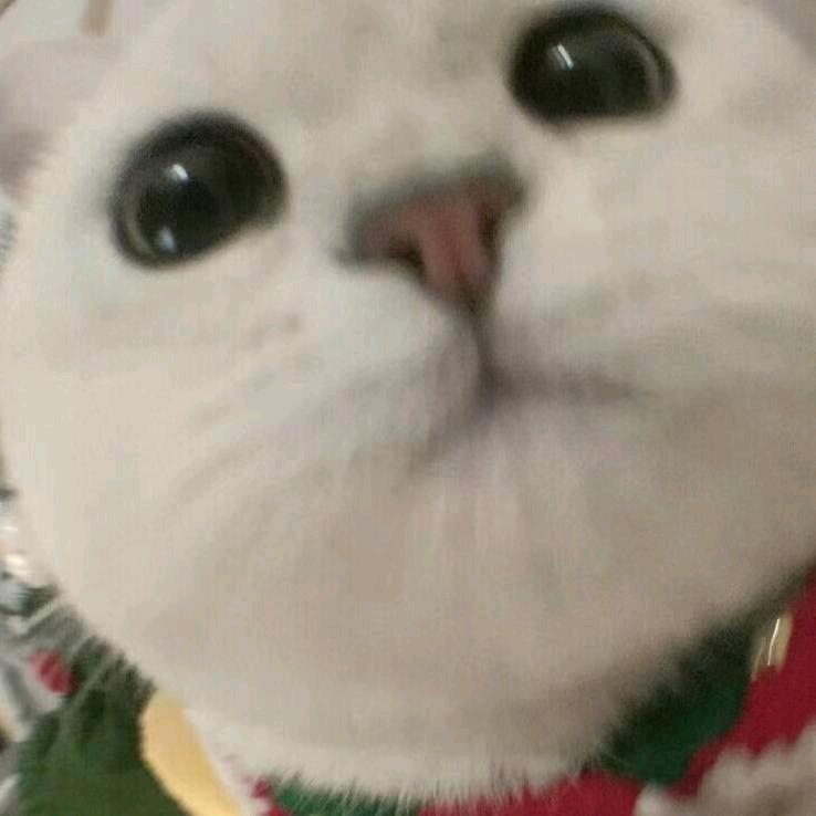 和飞飞