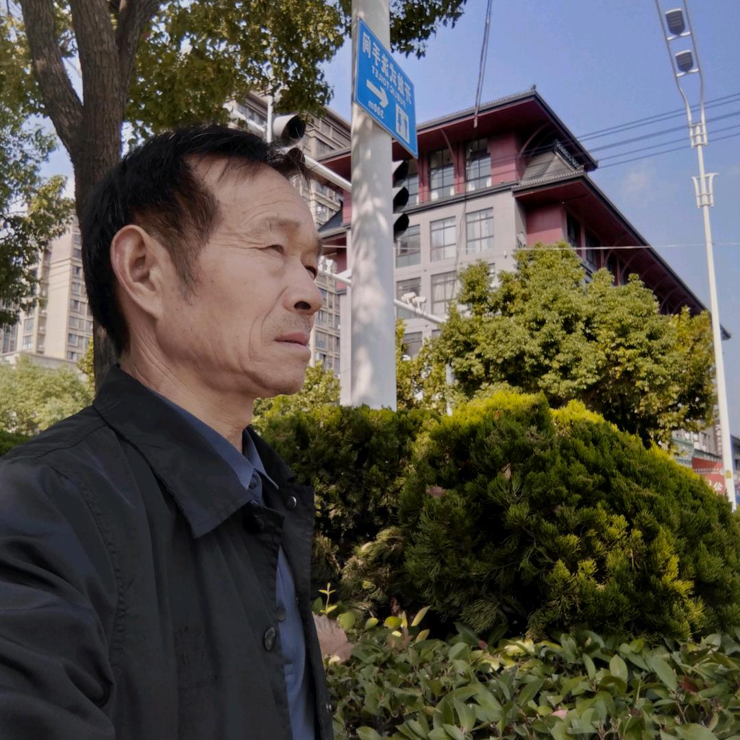 @碧桂园(砧砖师傅)