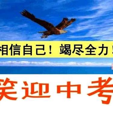 中高考指导武老师