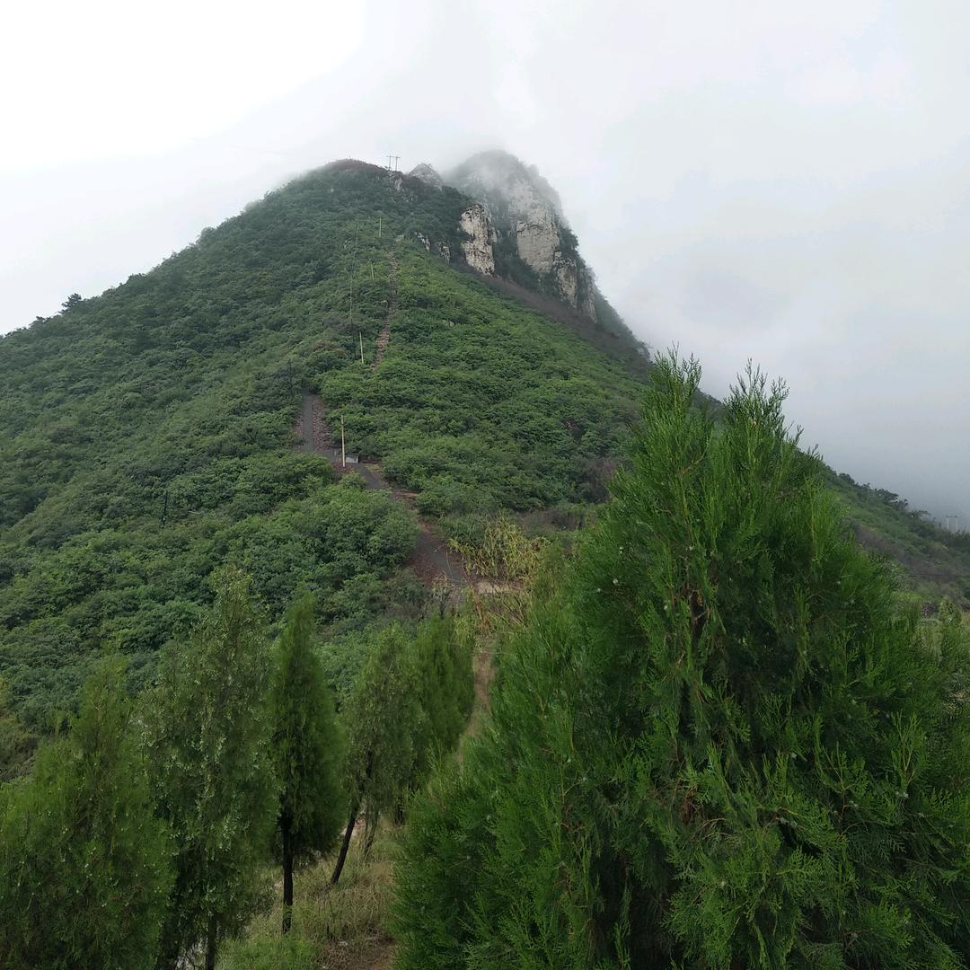 一LU有你