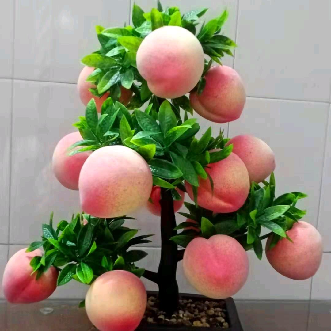 幸福快乐一辈子