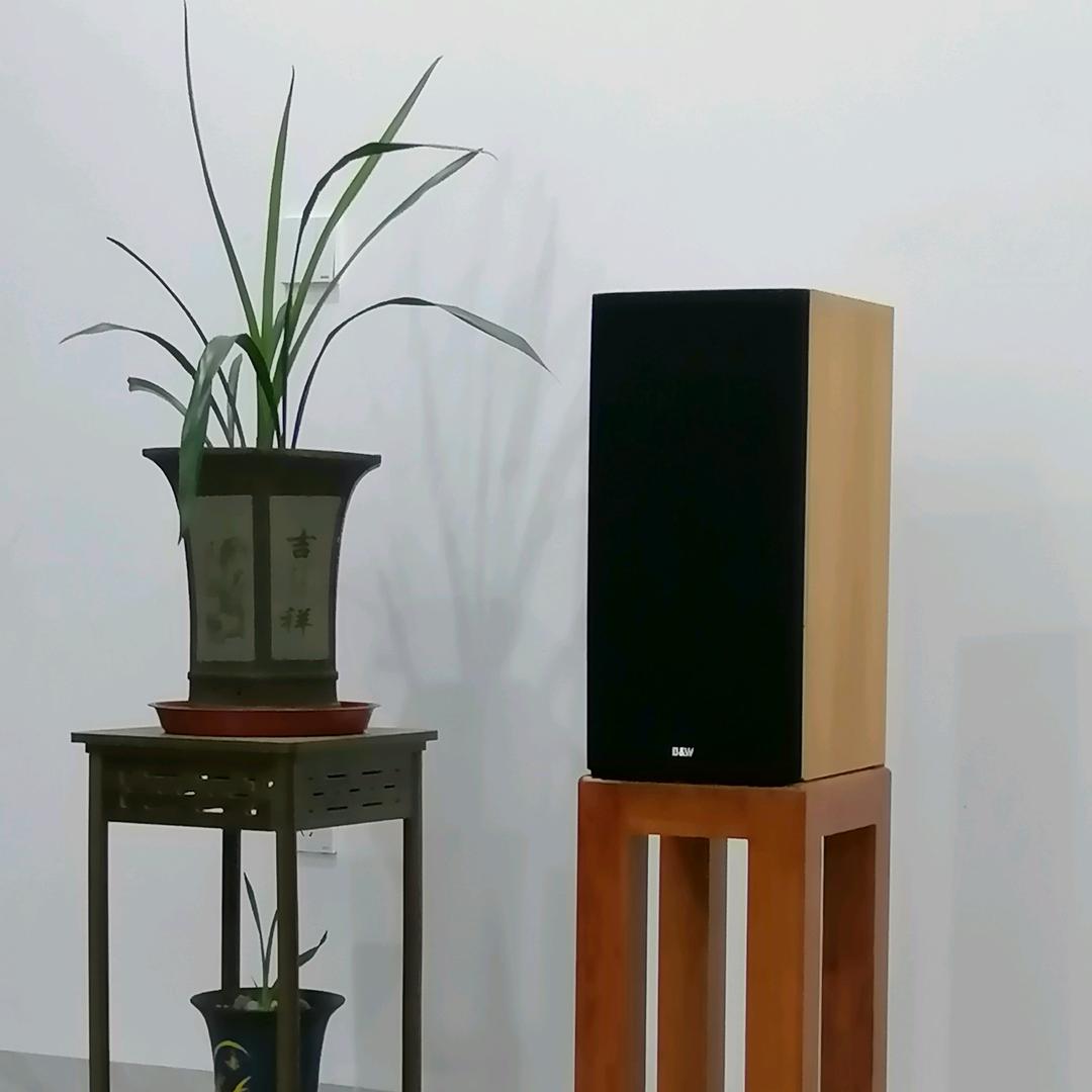 +林