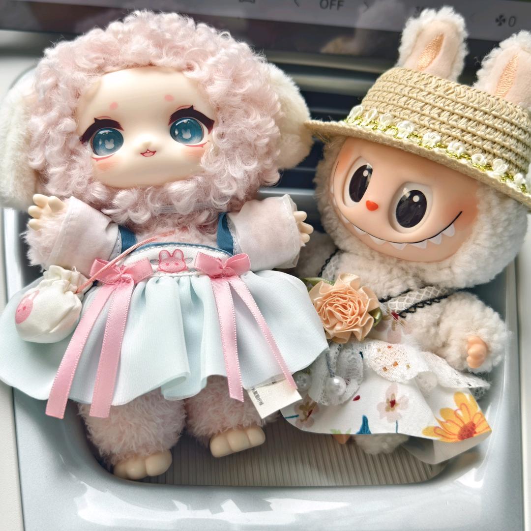 我有一个小星愿💐