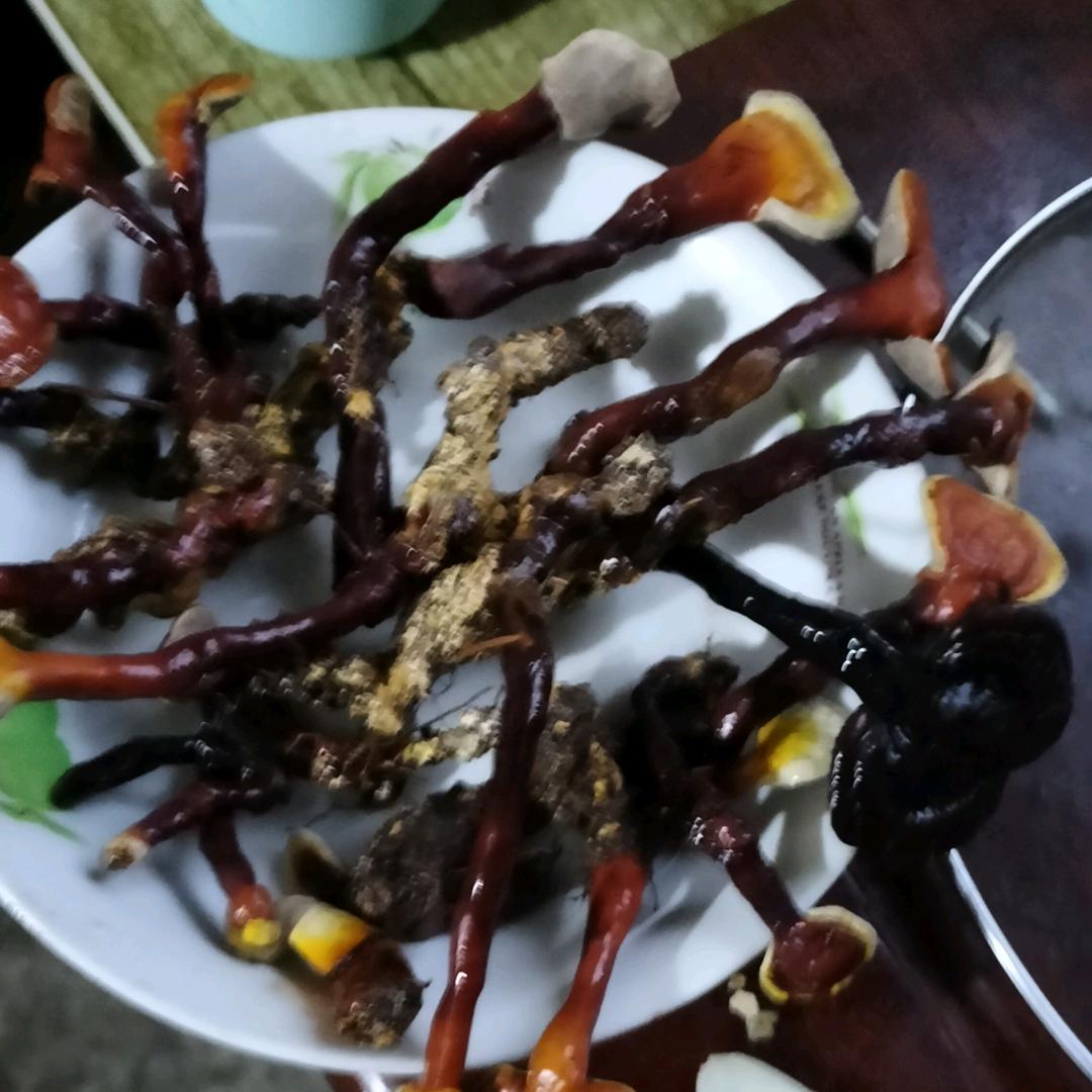 你在什么地方？我怎么喜欢你啊？