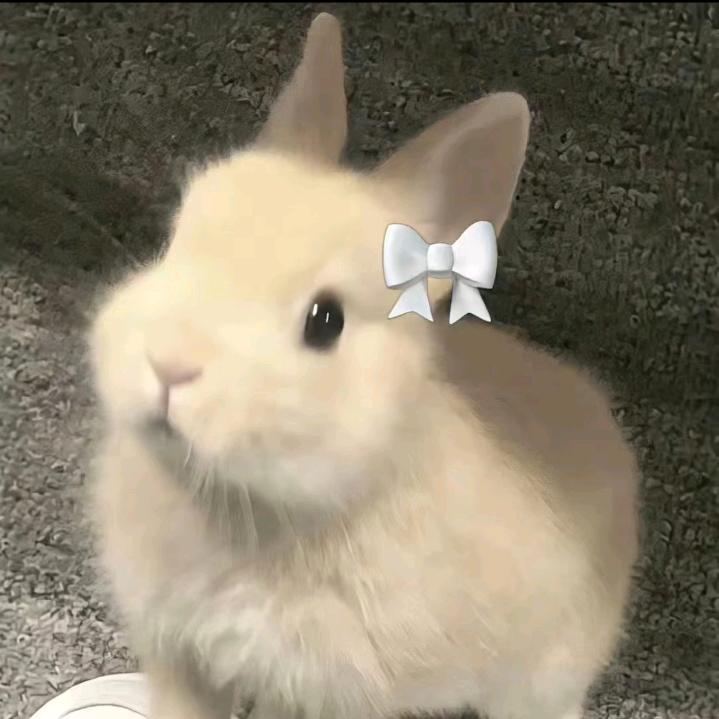 黎木