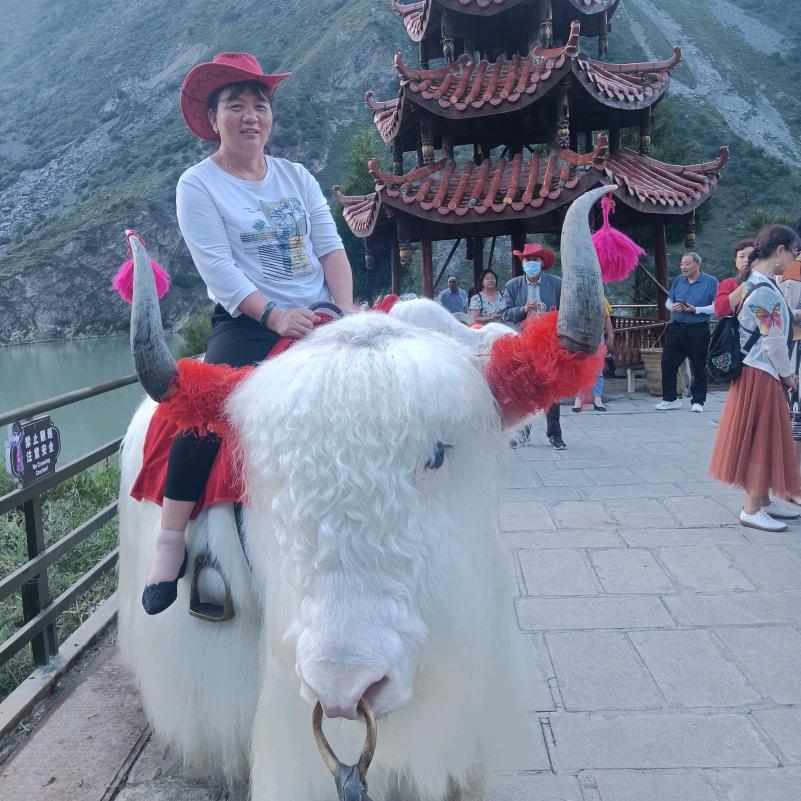 陈华琼
