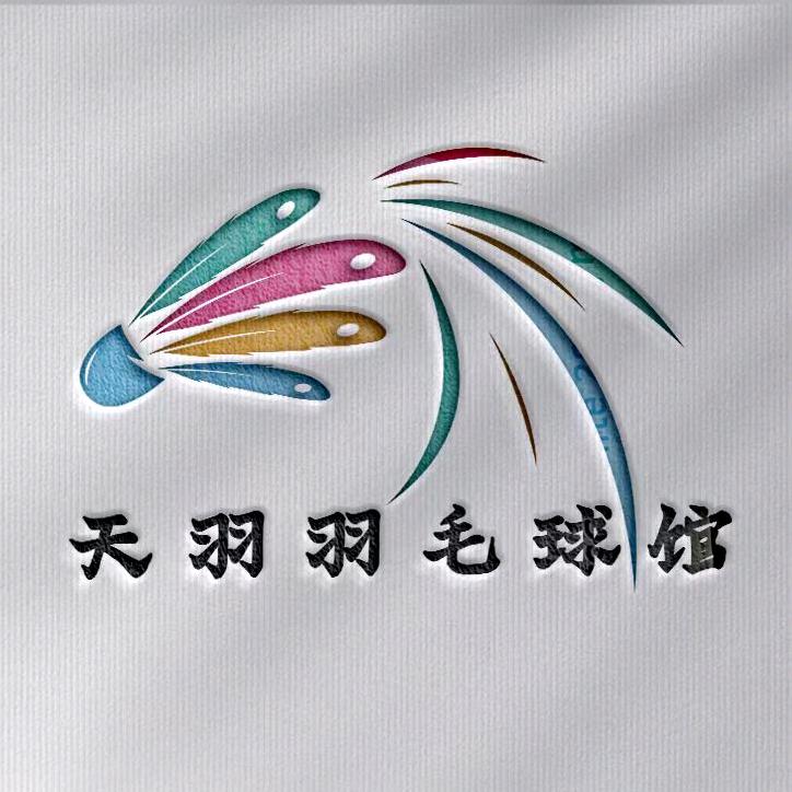 天羽羽毛球馆