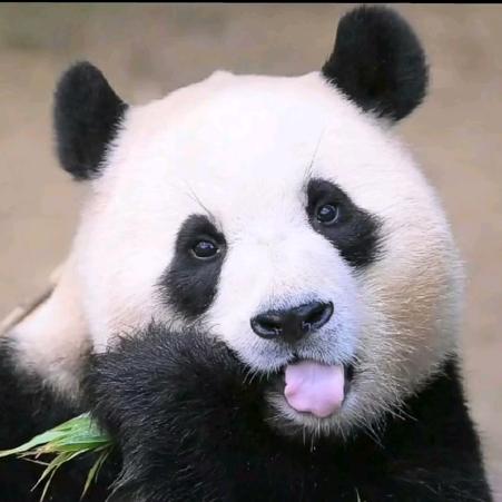 午夜星辰@