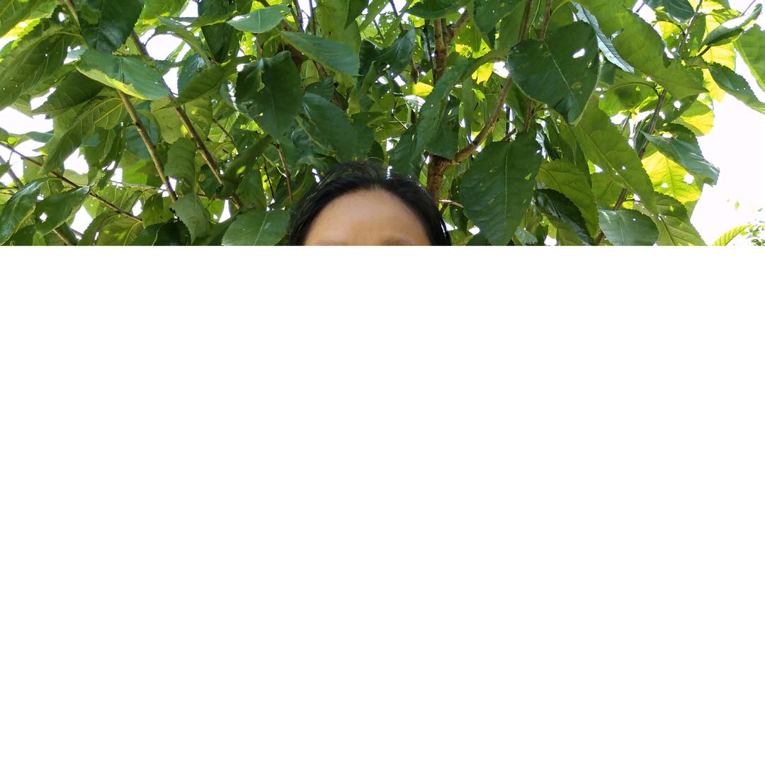 胡四妹