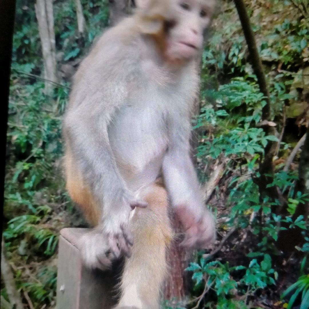 不想回忆， 爱唱歌