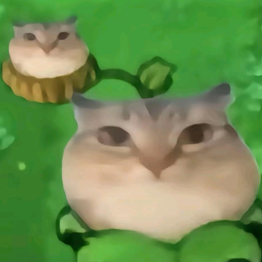 干净.