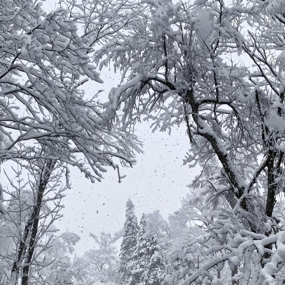 🌊🌟余生⚡️💥谋财🥇🛫🛬