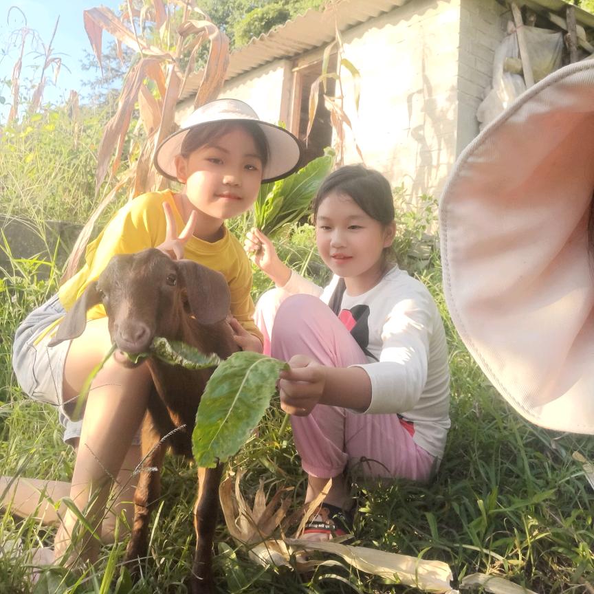 别用冷落逼我转身