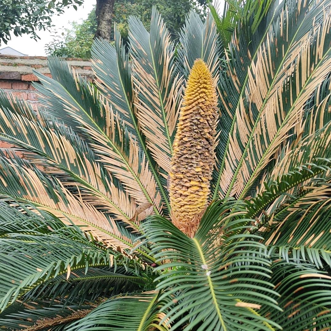 新星专业室内改墙