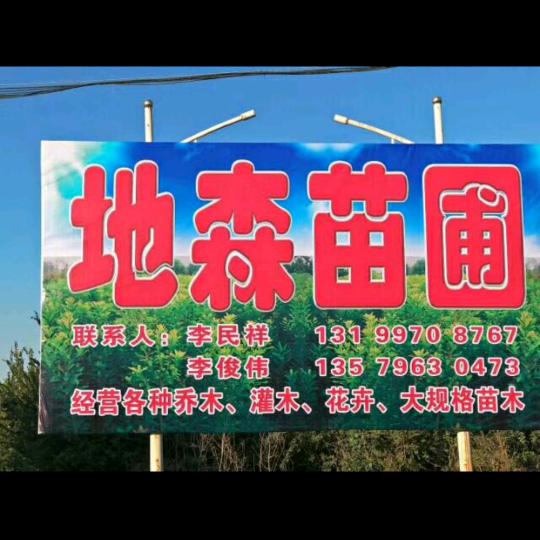 绿化导师