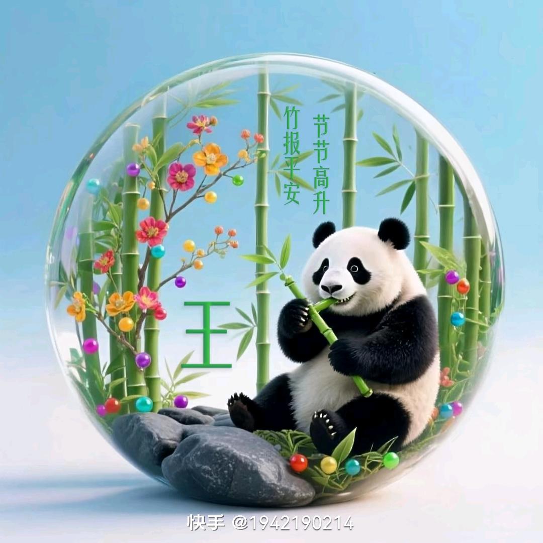 邳州市王宁( 我是音乐歌手，一条龙服务）