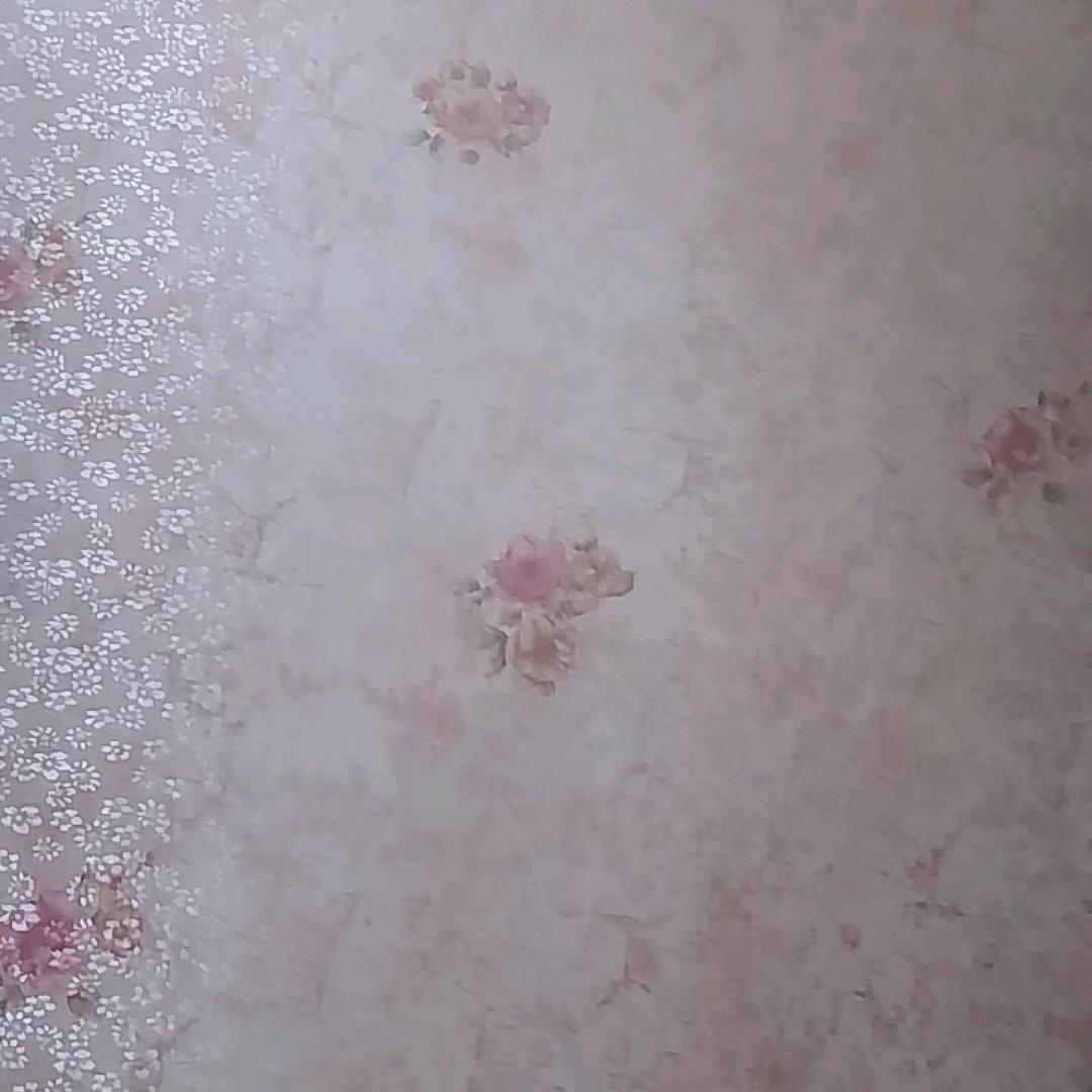 小羊女装