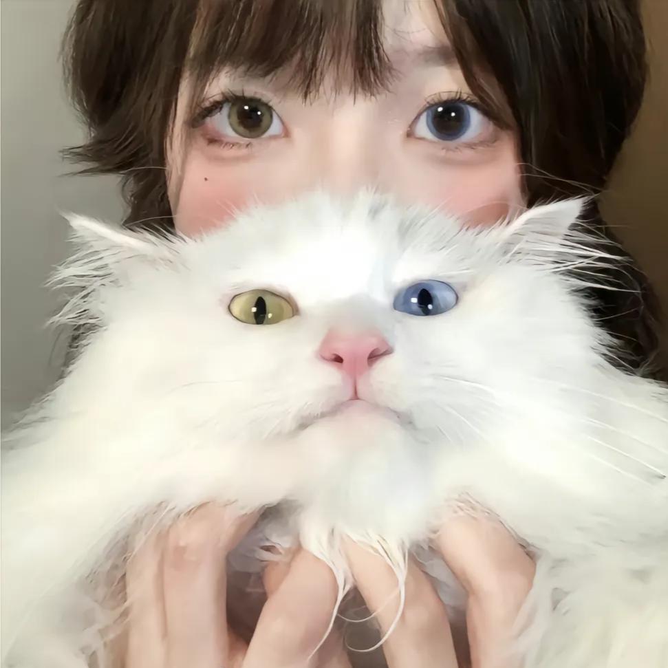 沈御谣